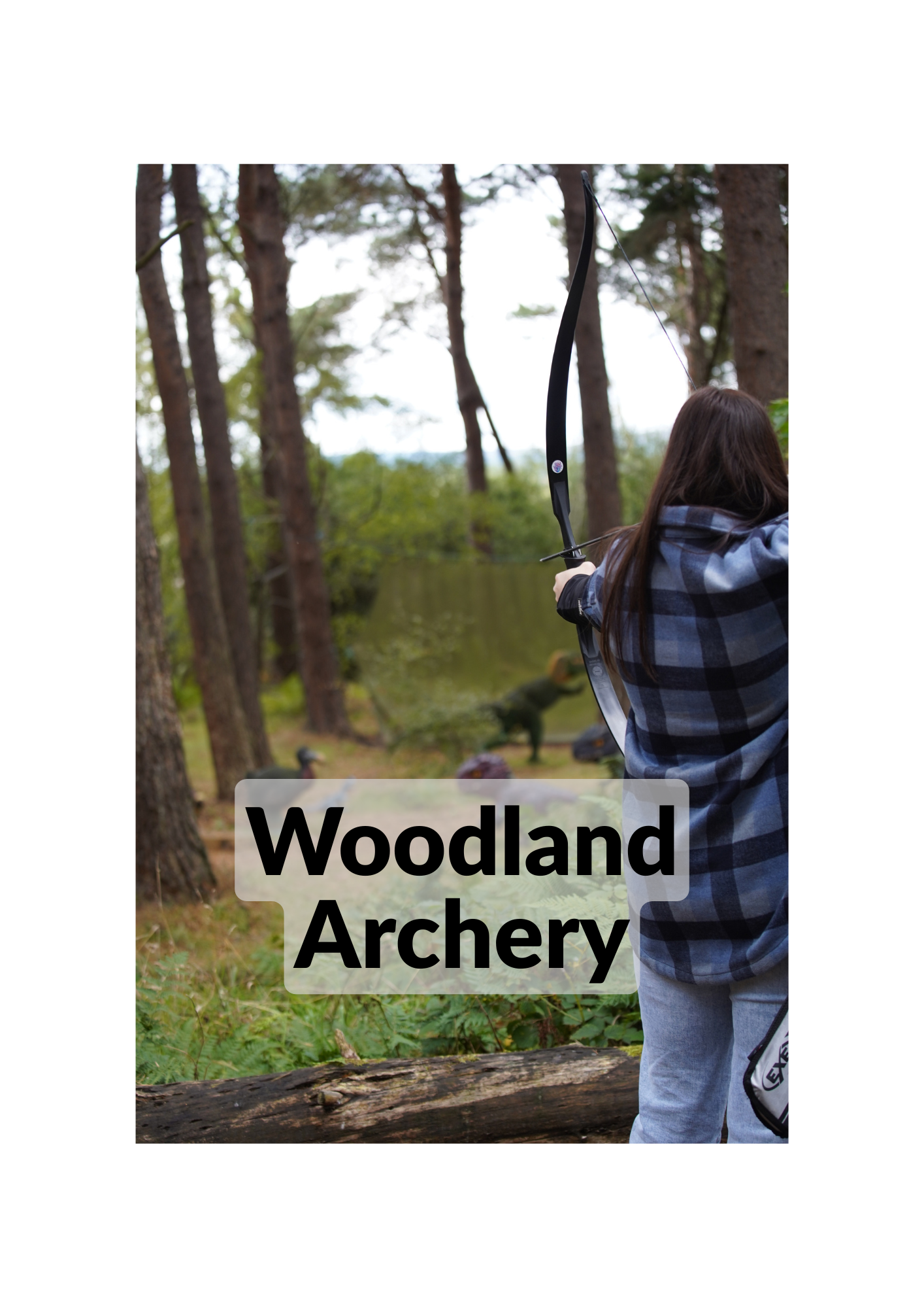 Woodland Archery. Lady aiming at 3d Dinosaur Targets