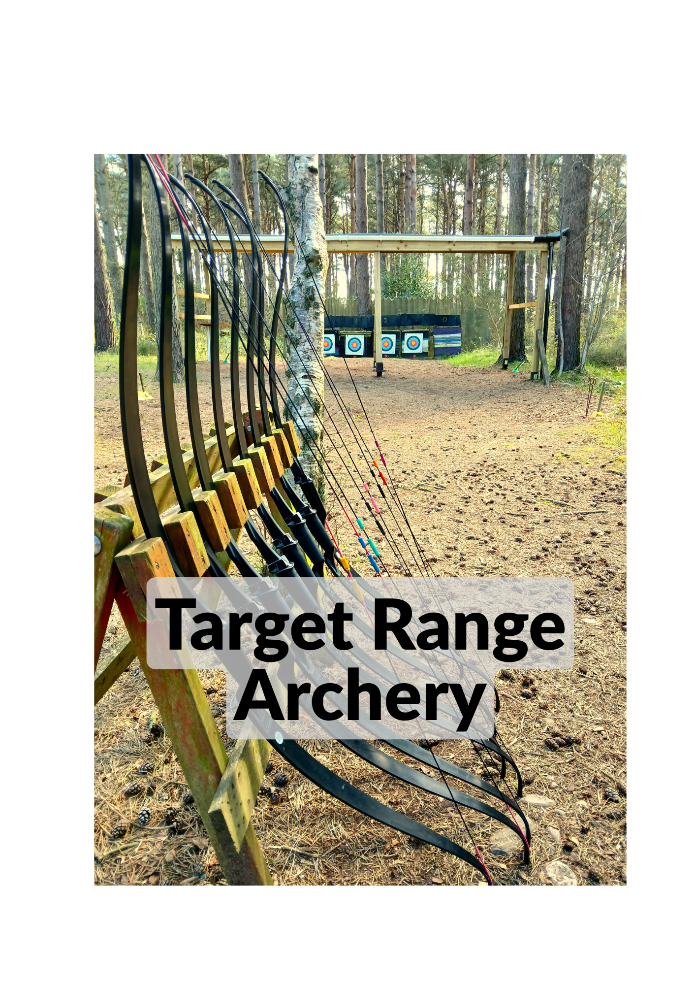 Bows lined up with a target archery range in the background set in woodland clearingession