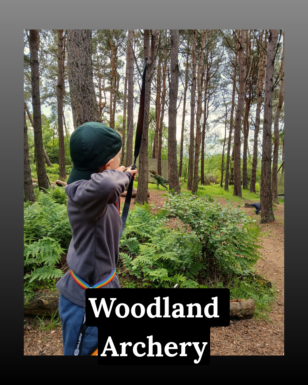 Woodland Archery. Lady aiming at 3d Dinosaur Targets